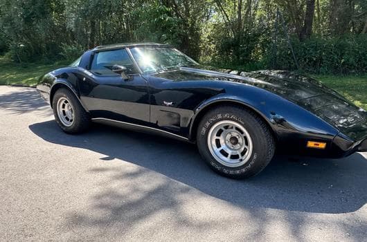 Chevrolet Corvette Corvette C3 Targa de 1979 (1979) - Photo 7