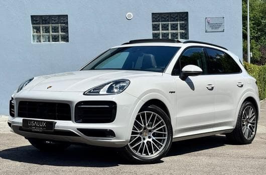 Porsche Cayenne PLATINUM EDITION 3.0 E-HYBRID 462H 340 PHEV (2020) - Foto 11