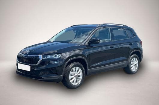 Skoda Roomster (2026) - Photo 5