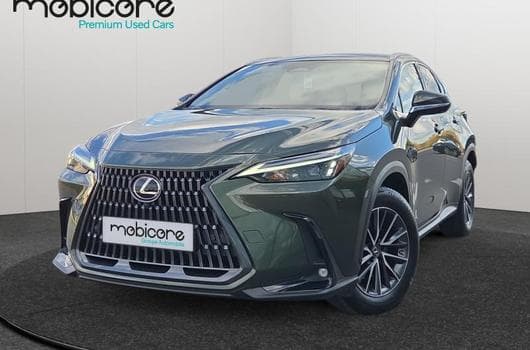 Lexus NX 350h (2022) - Photo 4