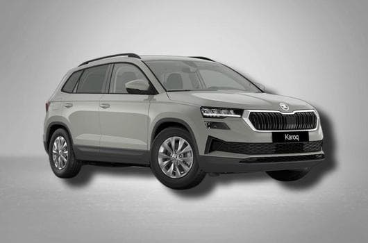 Skoda Karoq Selection 1.0 TSI 6-Gang (2026) - Photo 11