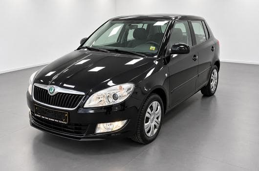 Skoda Fabia 1.2 Tdi 75 Greenline (2013) - Photo 10