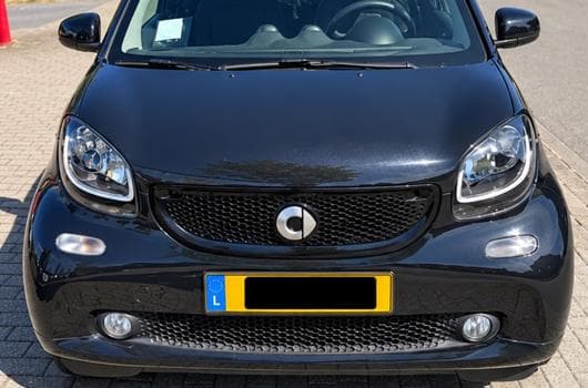 Smart Fortwo Fortwo Passion Cabrio (2016) - Photo 1
