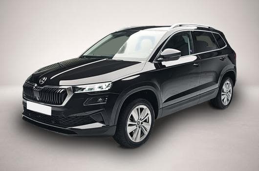Skoda Karoq (2026) - Photo 2