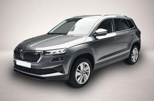 Skoda Karoq (2026) - Photo 9
