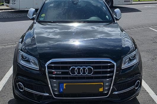 Audi SQ5 (2014) - Photo 1