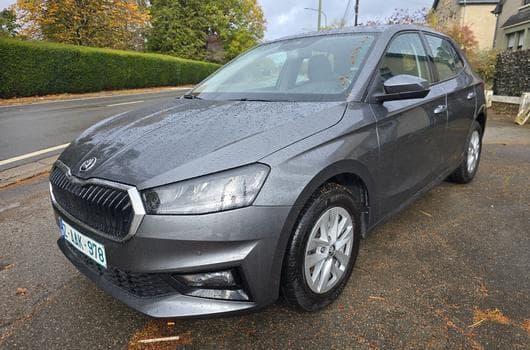 Skoda Fabia 1.0 l 115cv boite auto 2025 options 14041 HT (2025) - Photo 1