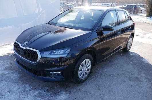 Skoda Fabia Selection 1.0 TSI DSG (2026) - Foto 11