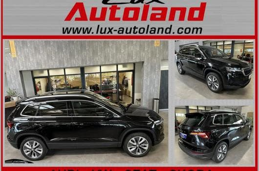 Skoda Karoq (2024) - Photo 8