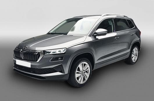 Skoda Karoq (2026) - Photo 11