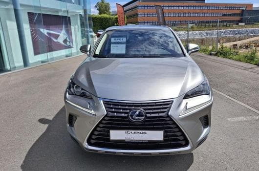 Lexus NX Executive (2020) - Photo 6