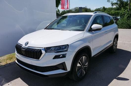 Skoda Karoq Selection (2025) - Photo 10
