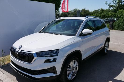 Skoda Karoq Selection (2025) - Photo 9