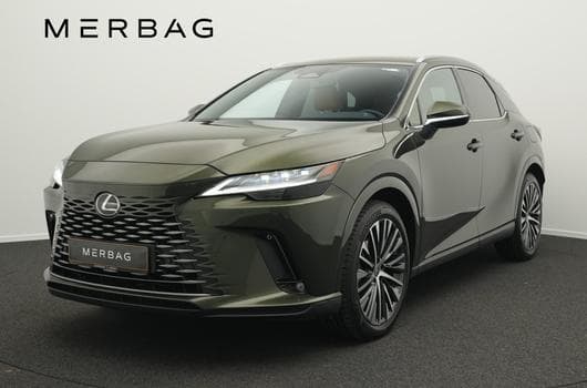 Lexus RX Luxury Line (2024) - Photo 3