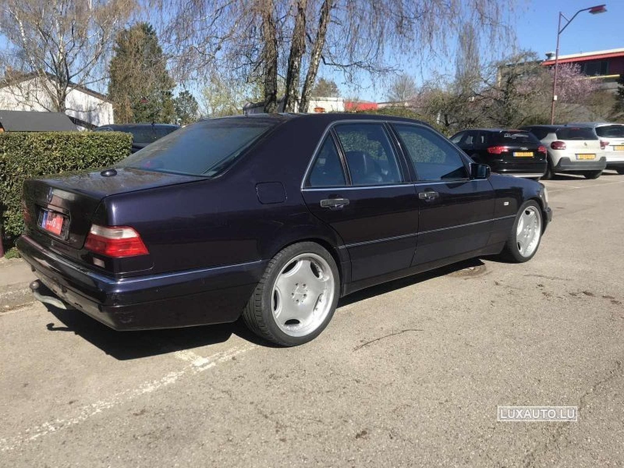 Mercedes S 300 300 Td Auto. (1998) - Foto 3