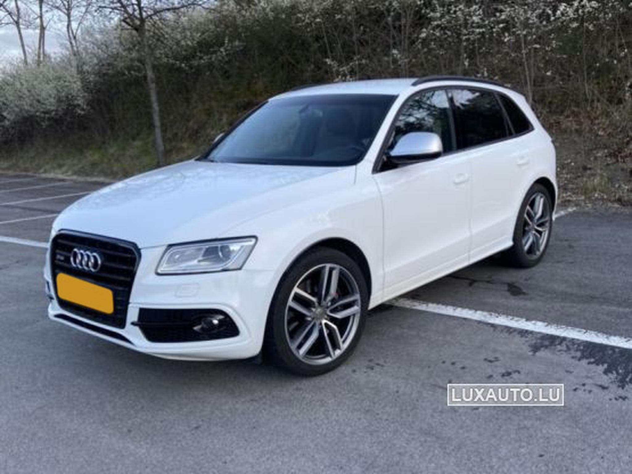 Audi SQ5 3.0 Tdi 326 Competition Quattro Tiptronic (2017) - Photo 1
