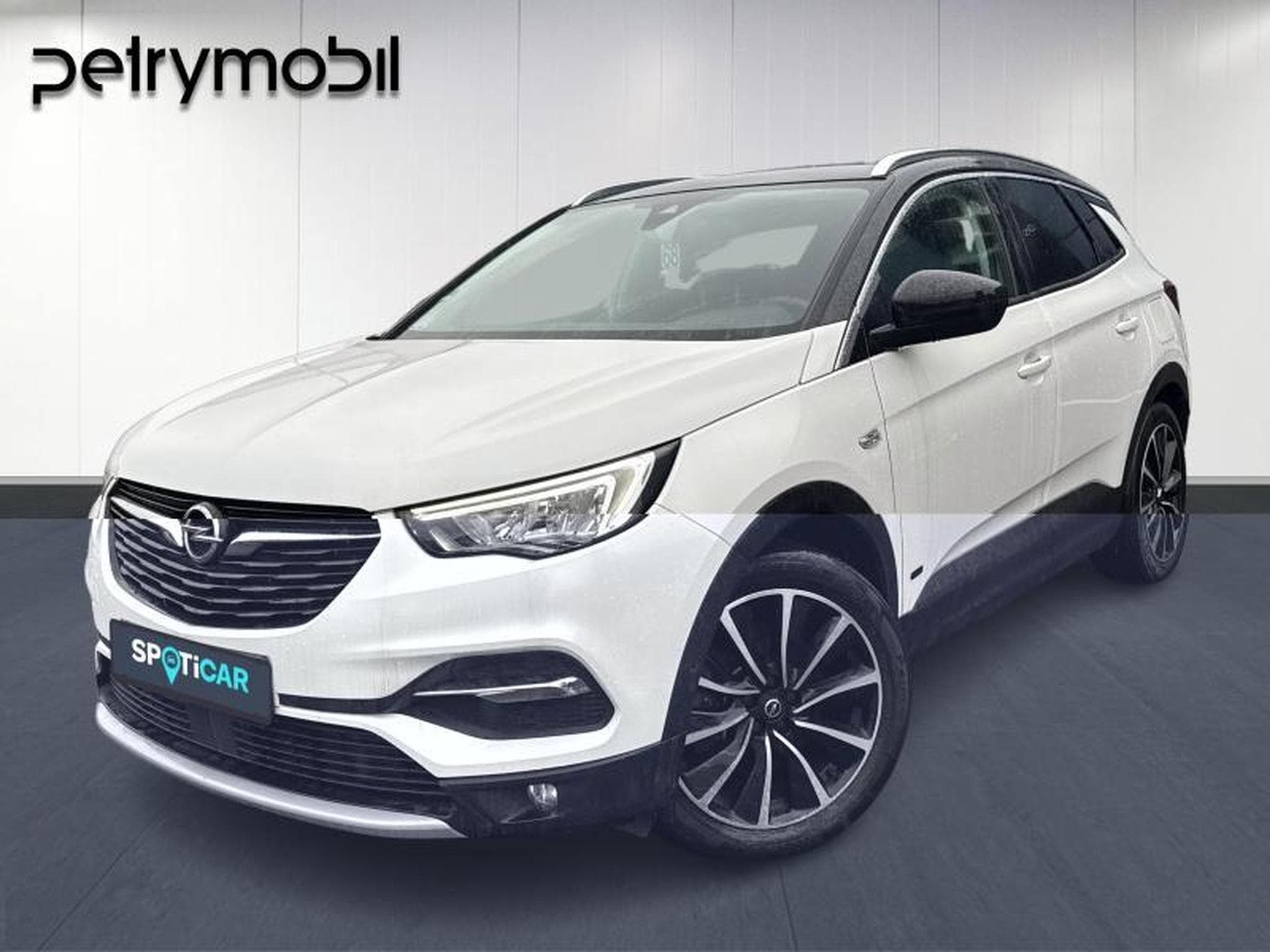 Opel Grandland X Innovation (2020) - Photo 1