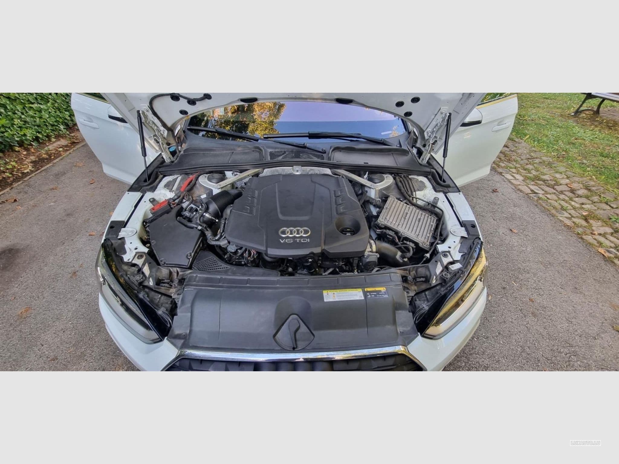 Audi A5 Sportback 3.0 Tdi 218 Quattro S-Tronic (2017) - Foto 9