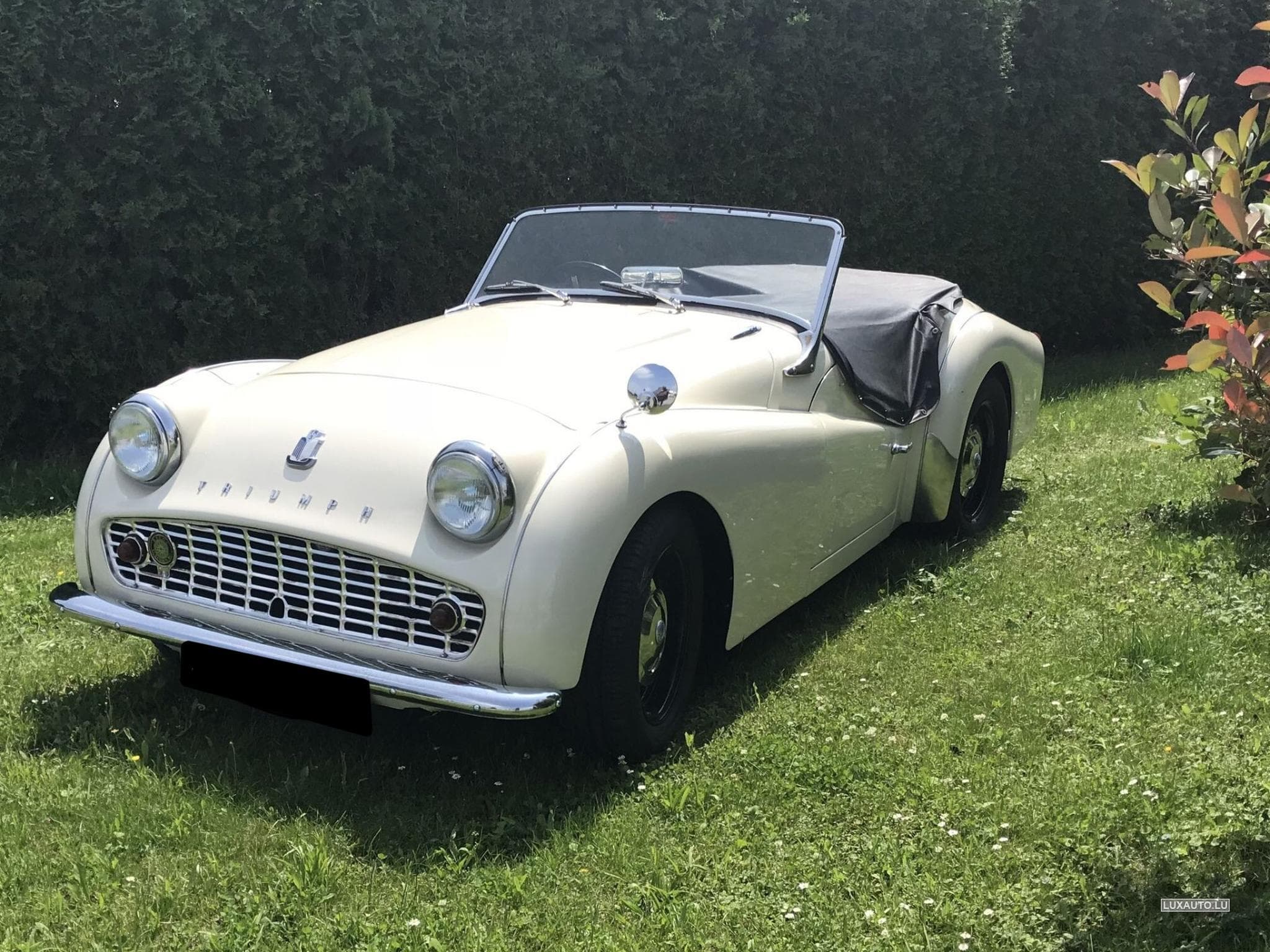 Triumph TR3 2.0 RHD (1970) - Foto 1
