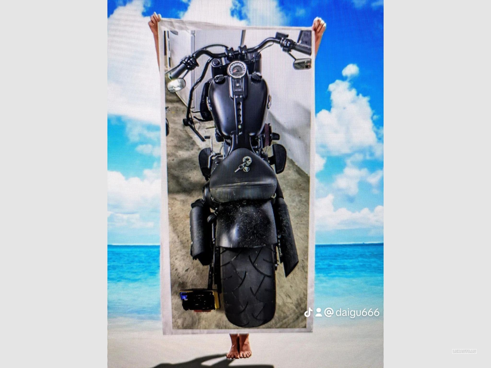 Harley-Davidson Fat Boy 1870 (2019) - Photo 2