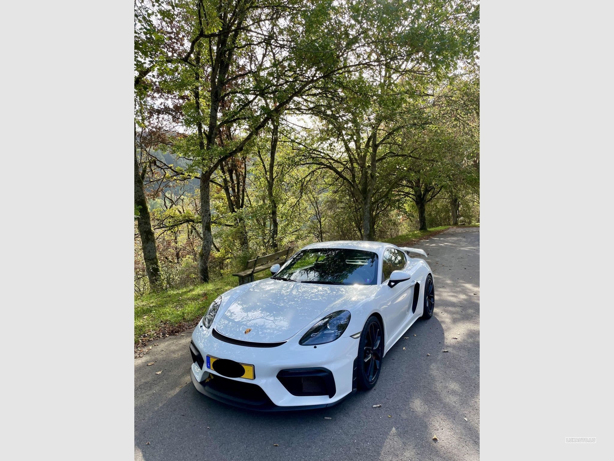 Porsche Cayman GT4 Clubsport (2020) - Photo 3