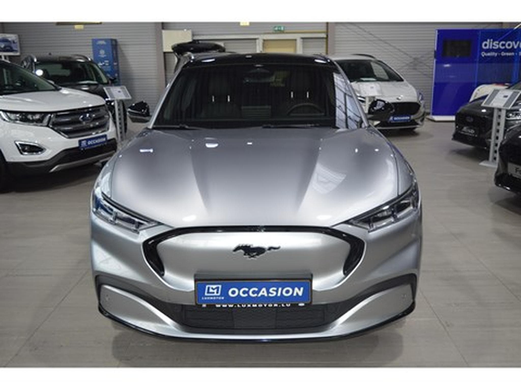 Ford Mustang Mach-E AWD 99kWh Extended Range 351CV/258kW - A1 (2021) - Foto 2