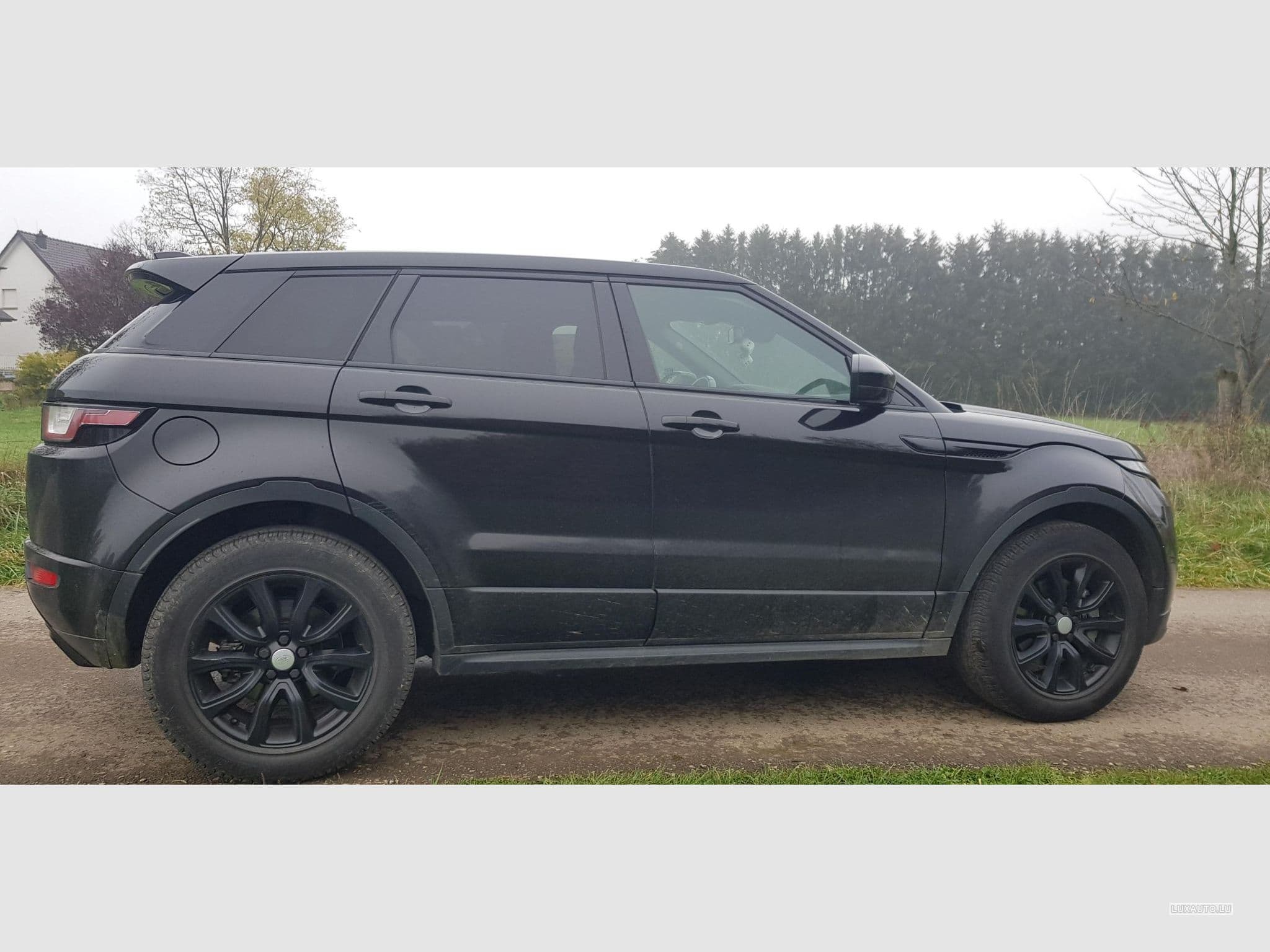 Land-Rover Range Rover Evoque 2.0 Si4 SE Dynamic 4WD Auto. (2019) - Photo 7