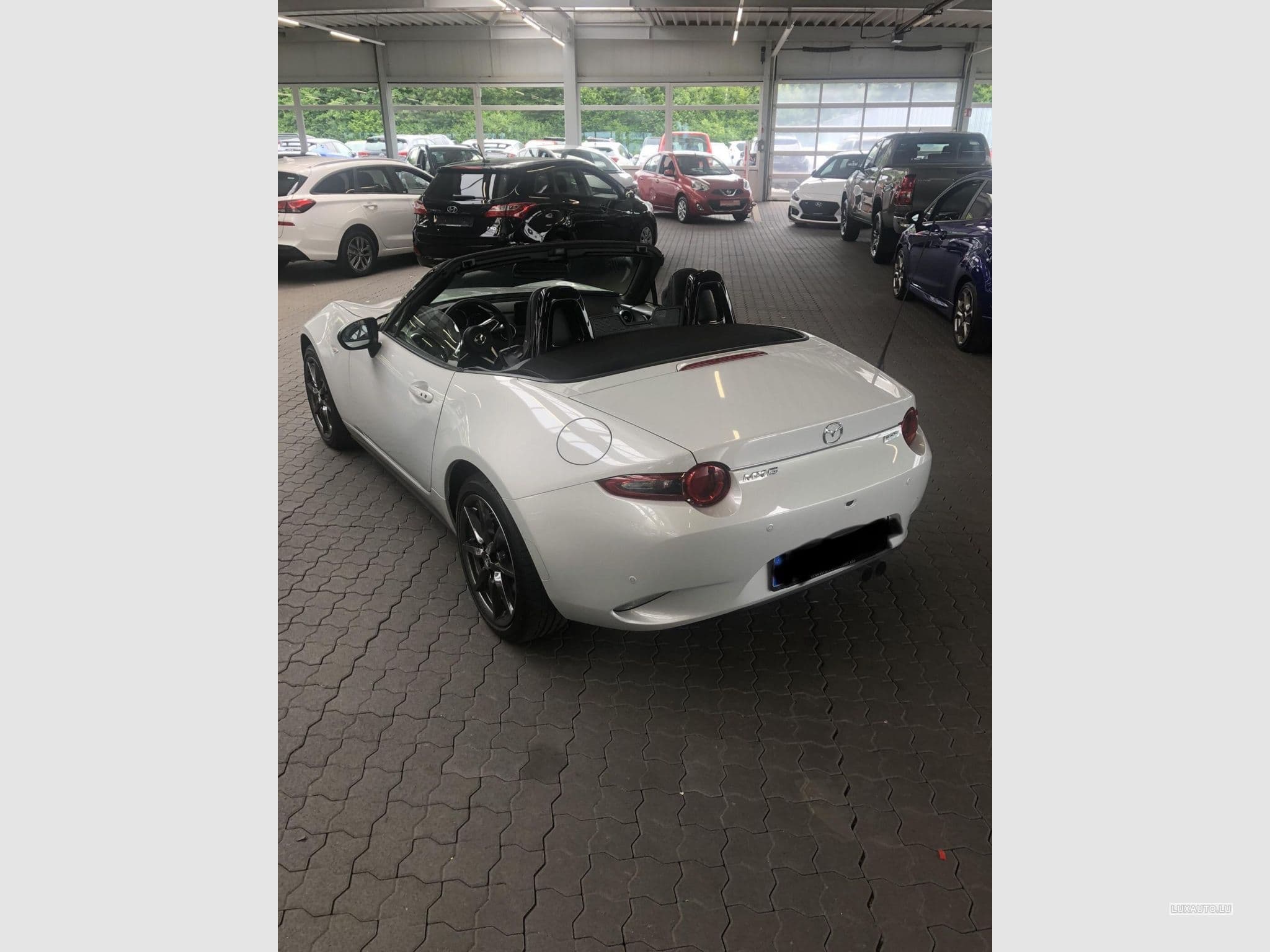 Mazda MX-5 2.0 Skyactiv-G Sports-Line (2019) - Foto 2