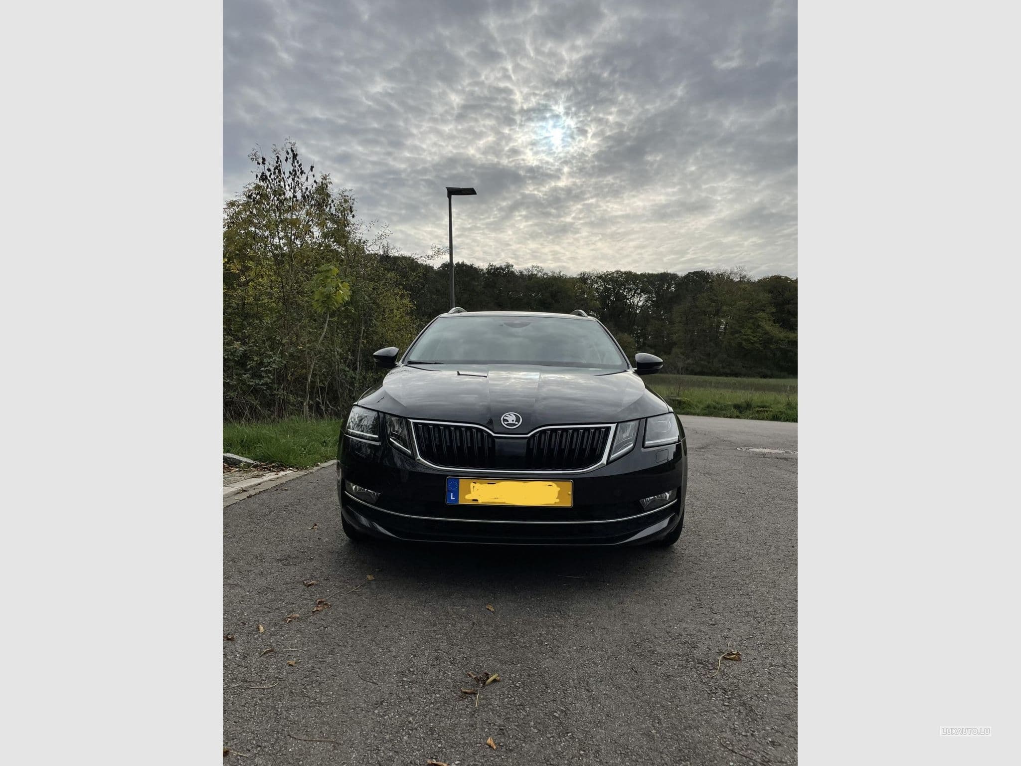 Skoda Octavia (2017) - Foto 4