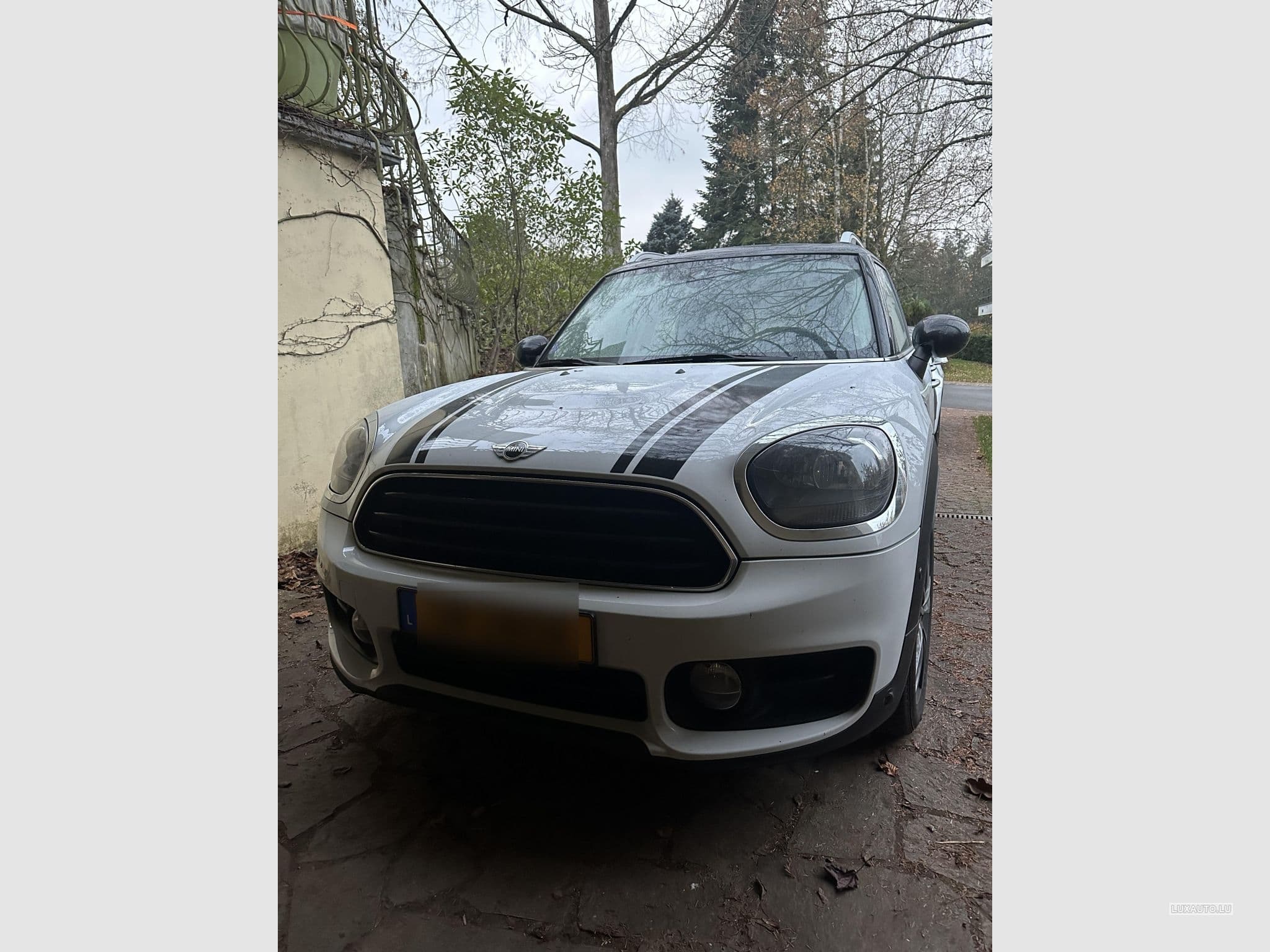 Mini Countryman all 4 (2017) - Foto 1