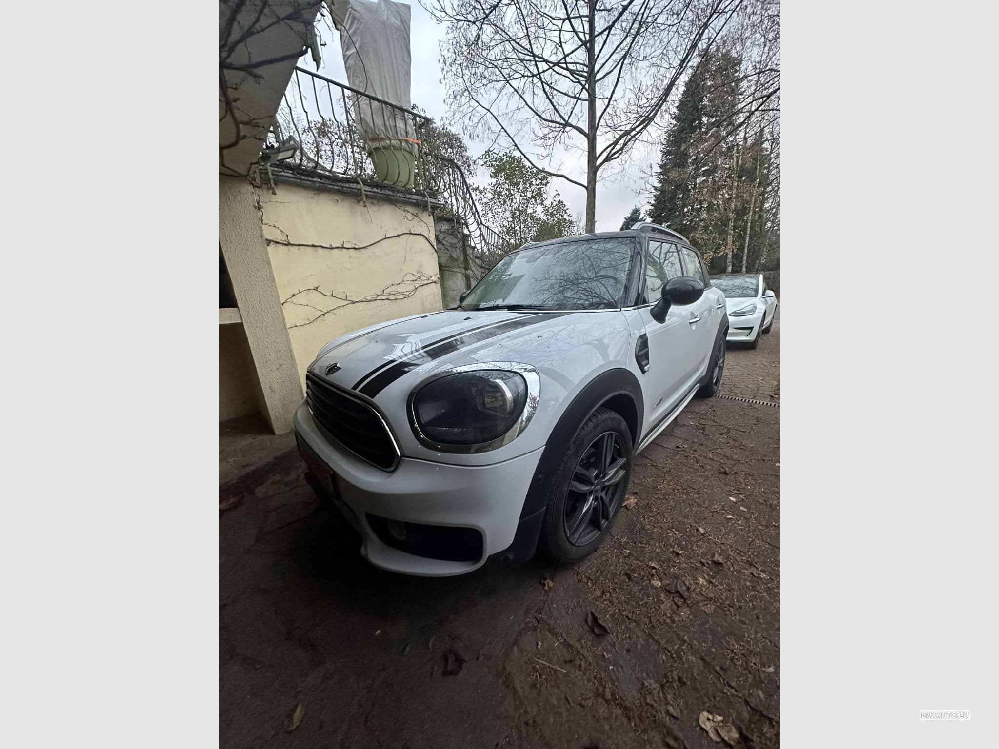 Mini Countryman all 4 (2017) - Foto 2