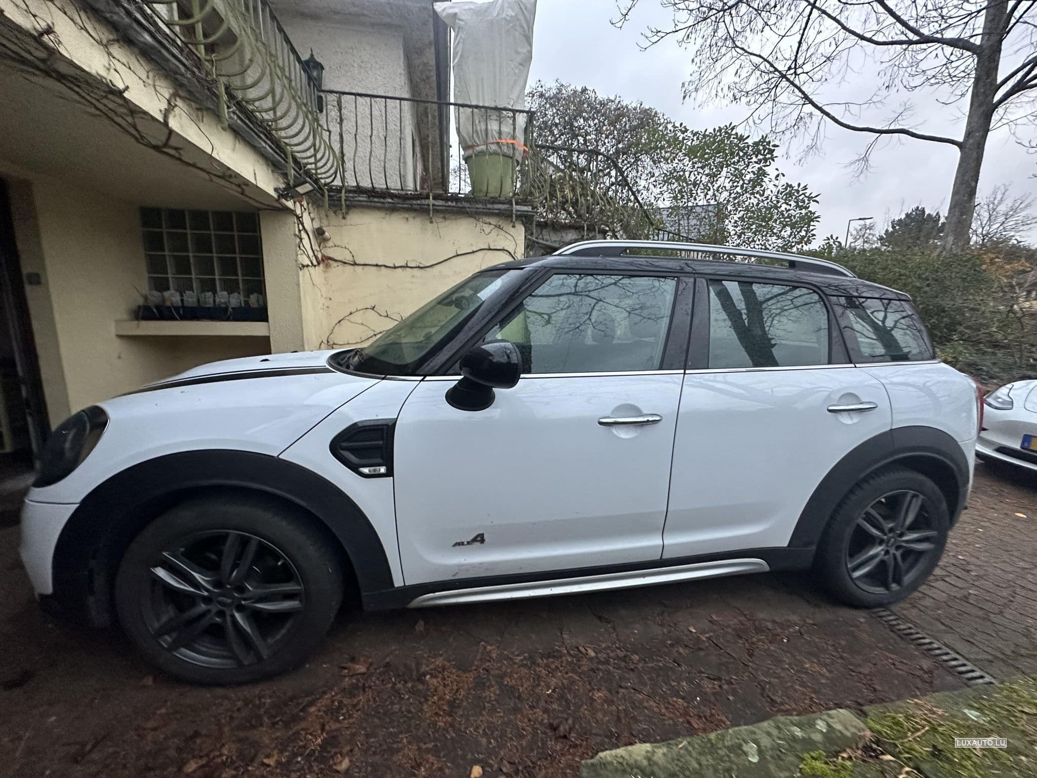 Mini Countryman all 4 (2017) - Foto 3