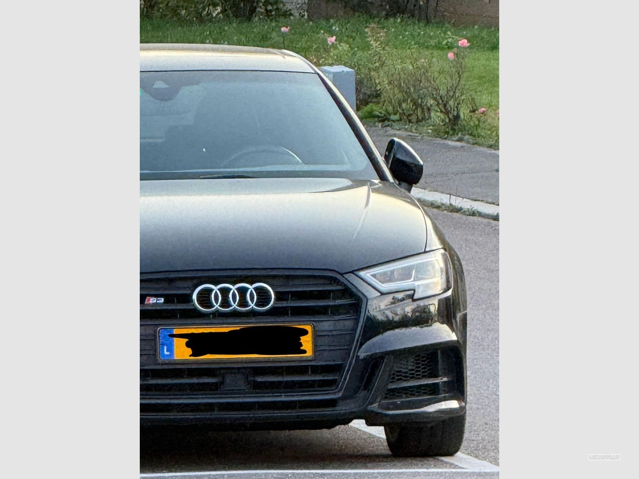 Audi S3 (2017) - Photo 5