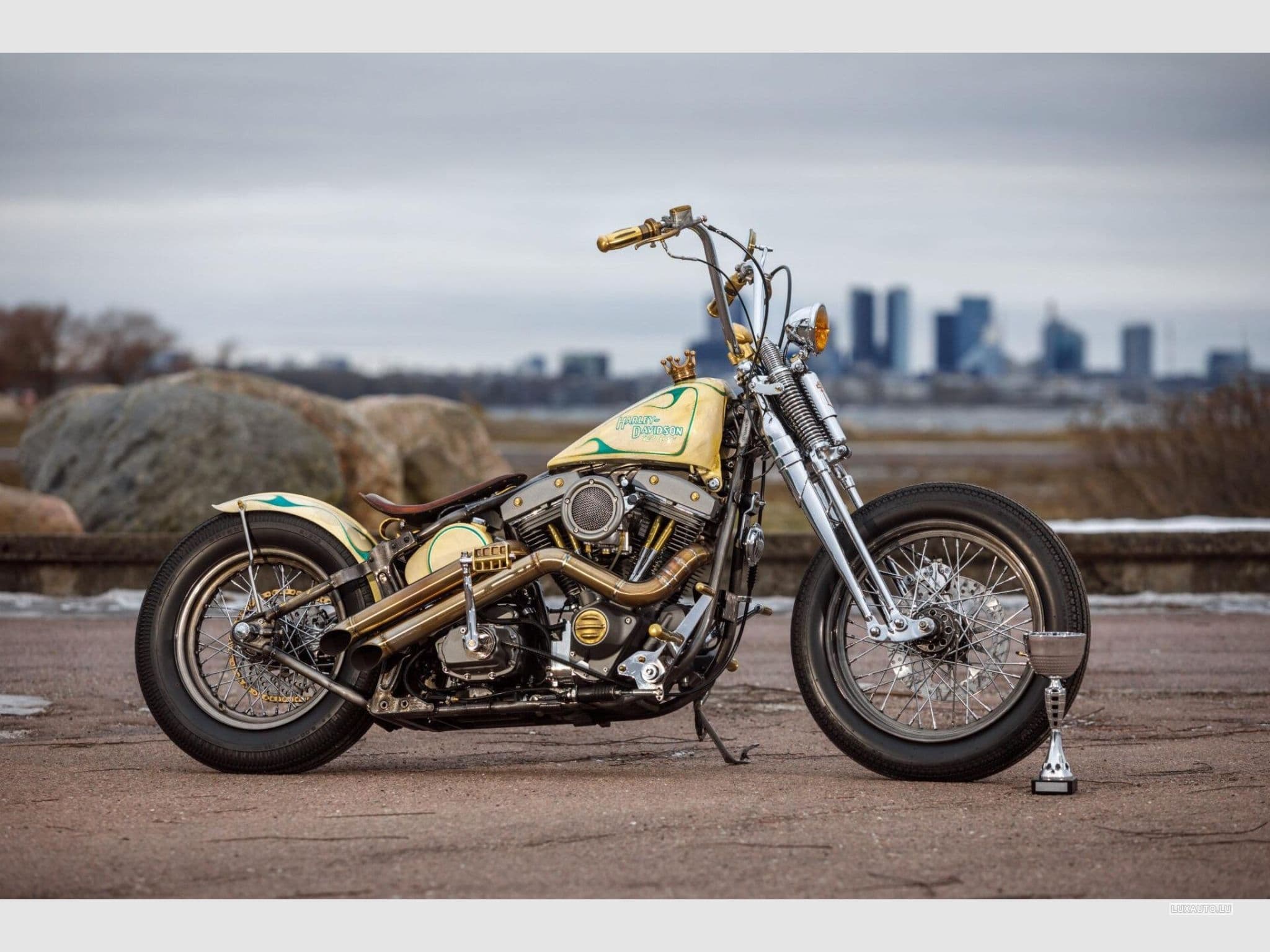 Harley-Davidson Softail Springer Evo (1999) - Photo 2