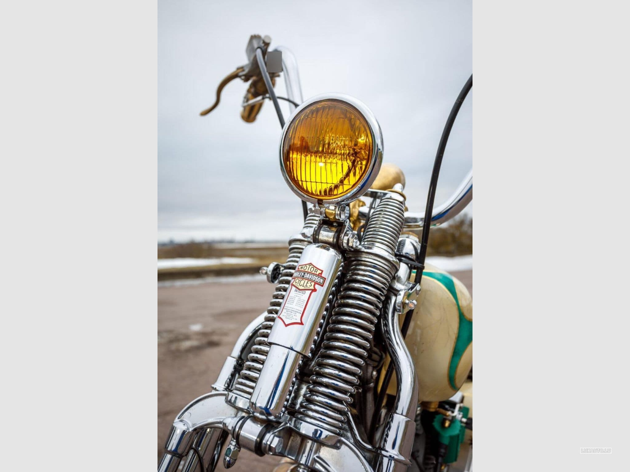 Harley-Davidson Softail Springer Evo (1999) - Photo 6