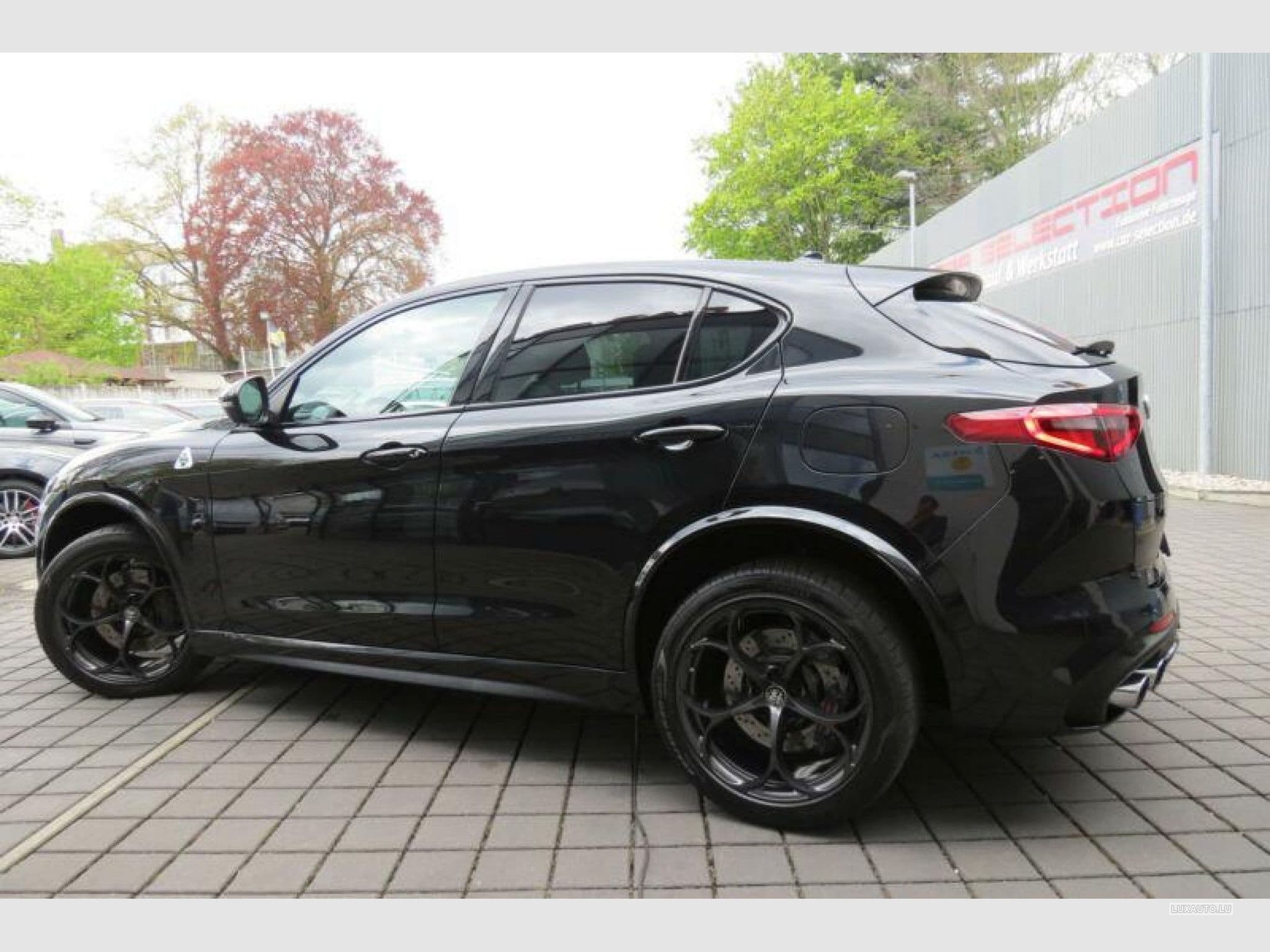 Alfa-Romeo Stelvio Quadrifoglio (2018) - Photo 4