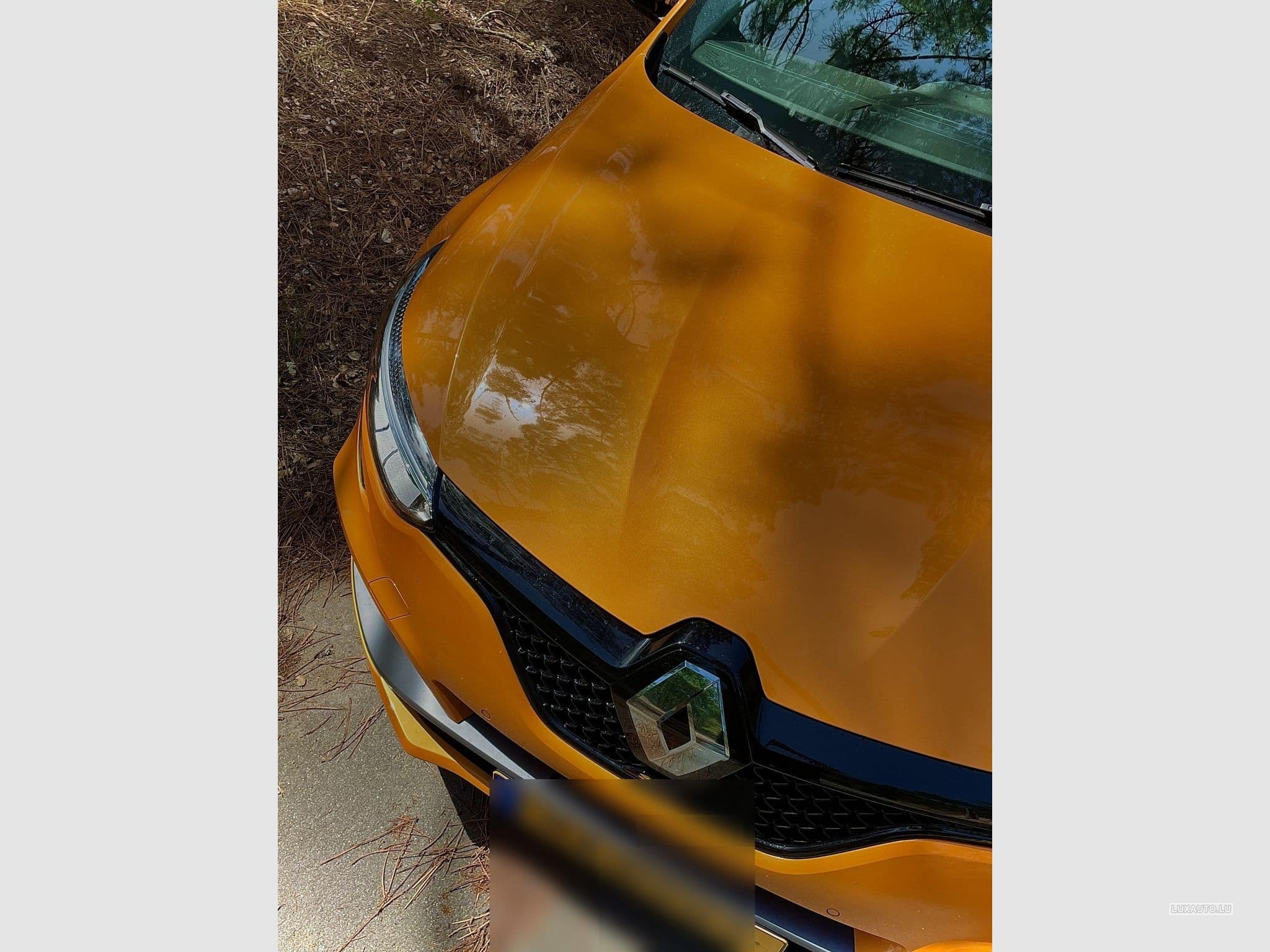 Renault Megane RS TROPHY 300EDC (2022) - Photo 5