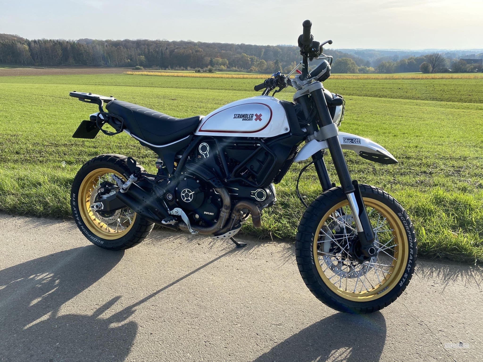 Ducati Scrambler Desert Sled (2018) - Foto 1