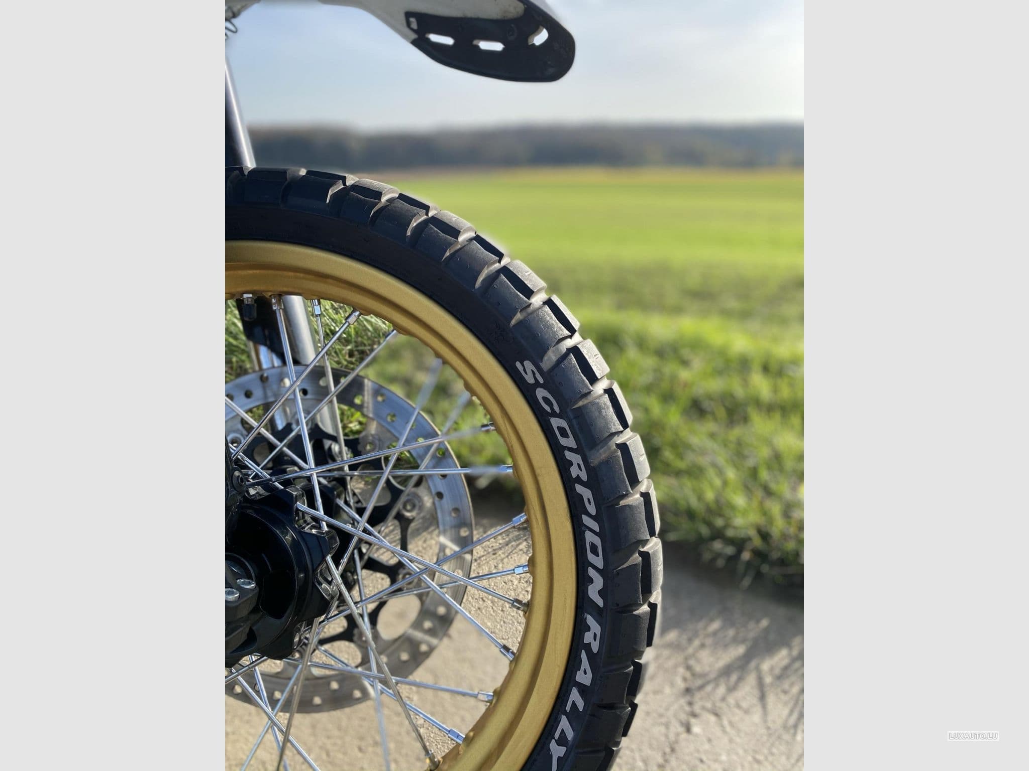 Ducati Scrambler Desert Sled (2018) - Foto 3