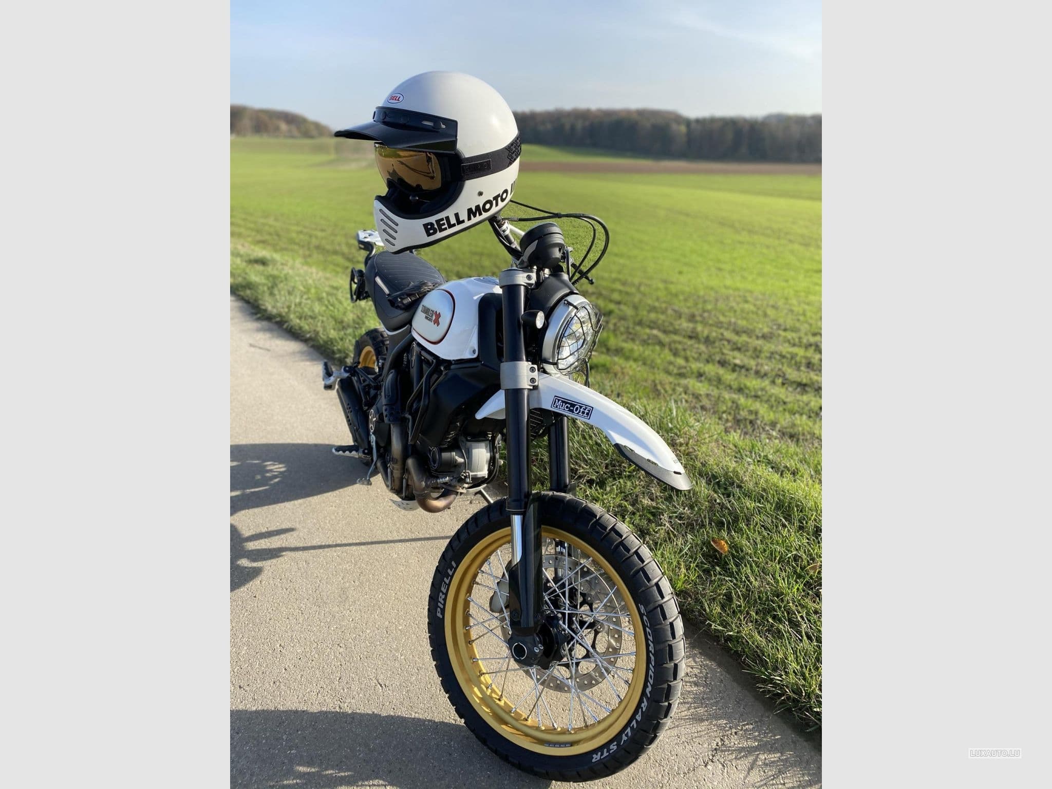 Ducati Scrambler Desert Sled (2018) - Foto 5
