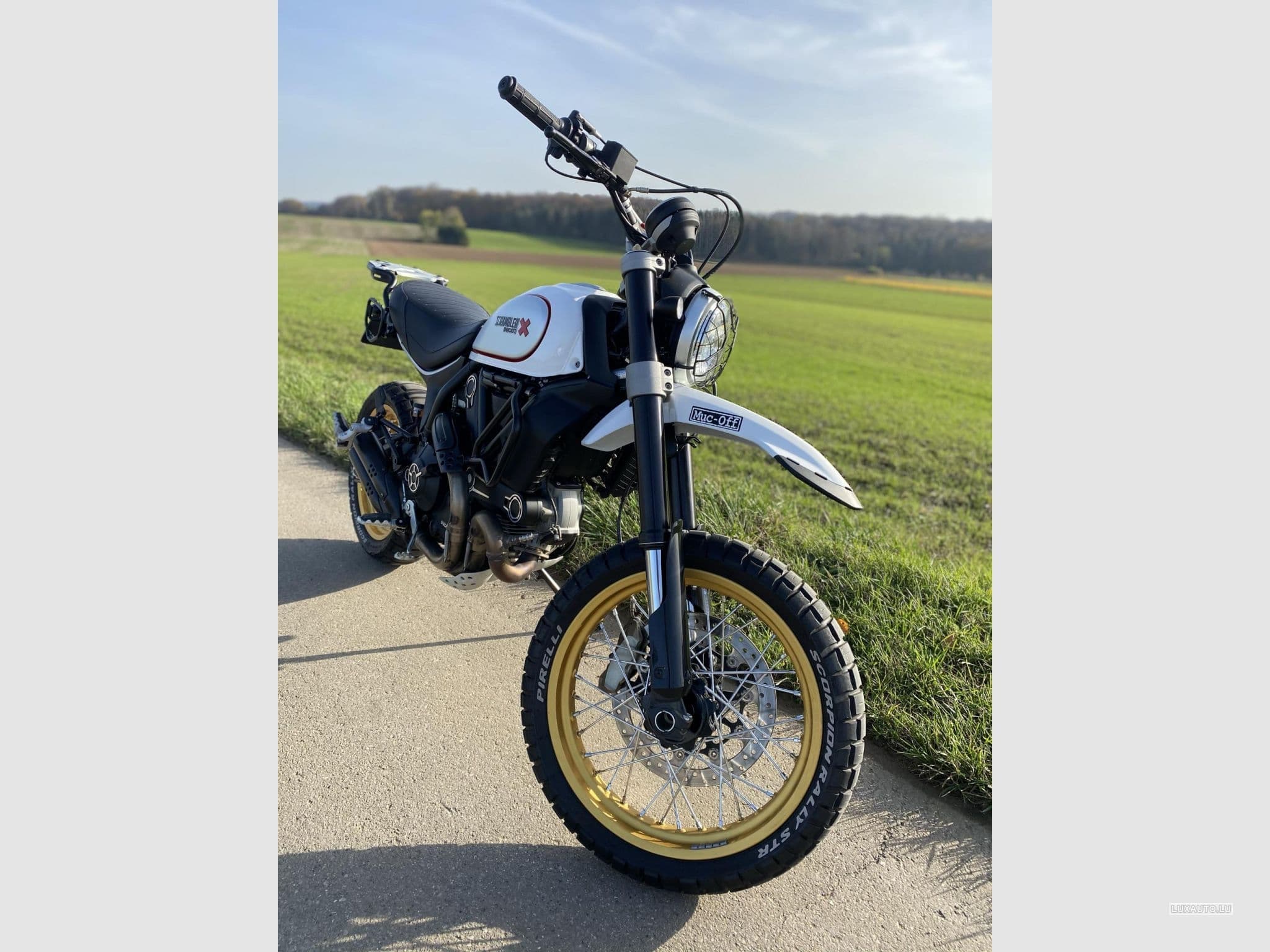 Ducati Scrambler Desert Sled (2018) - Foto 6