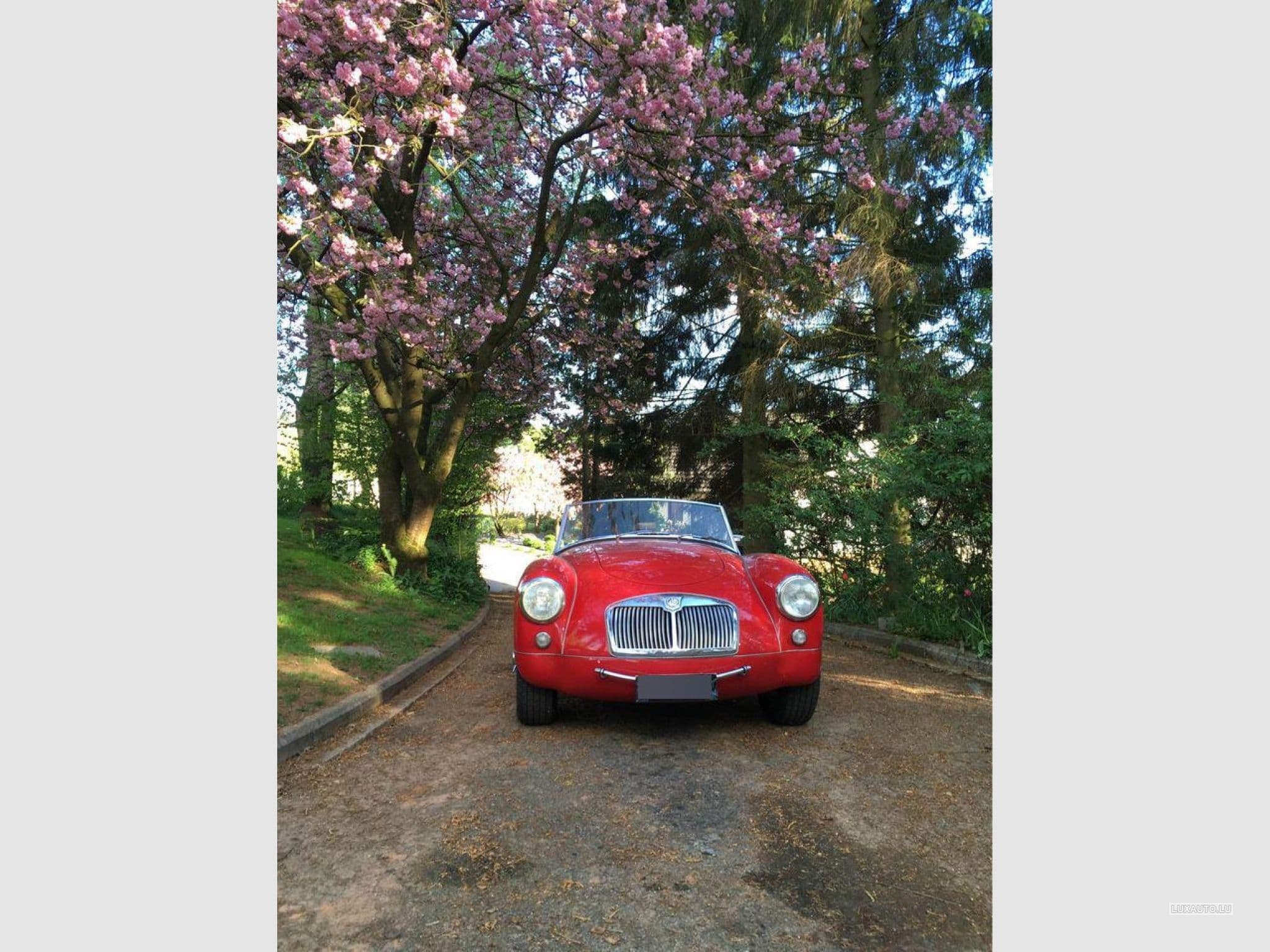 MG A (1970) - Photo 2