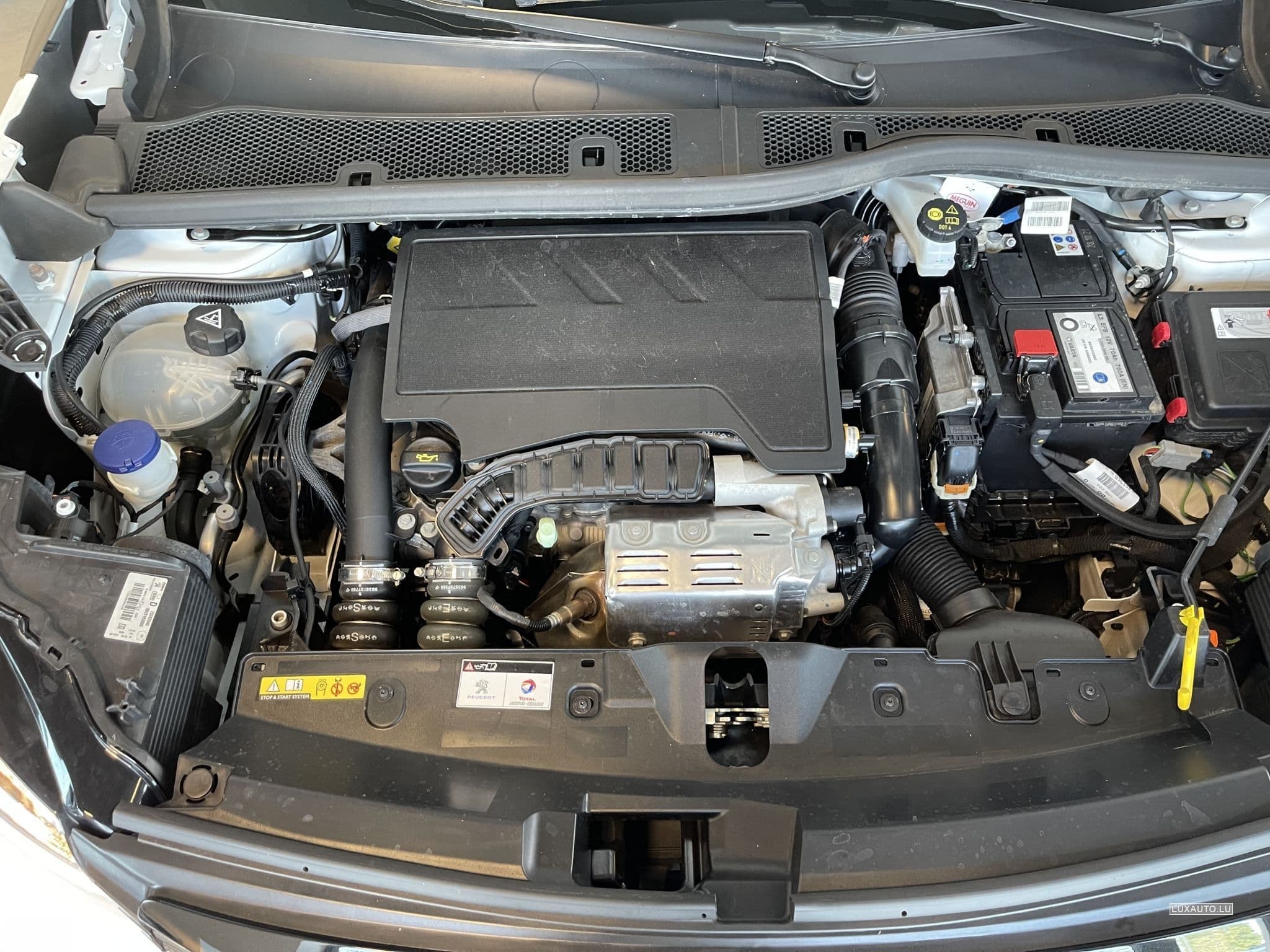 Peugeot 2008 (2021) - Photo 14