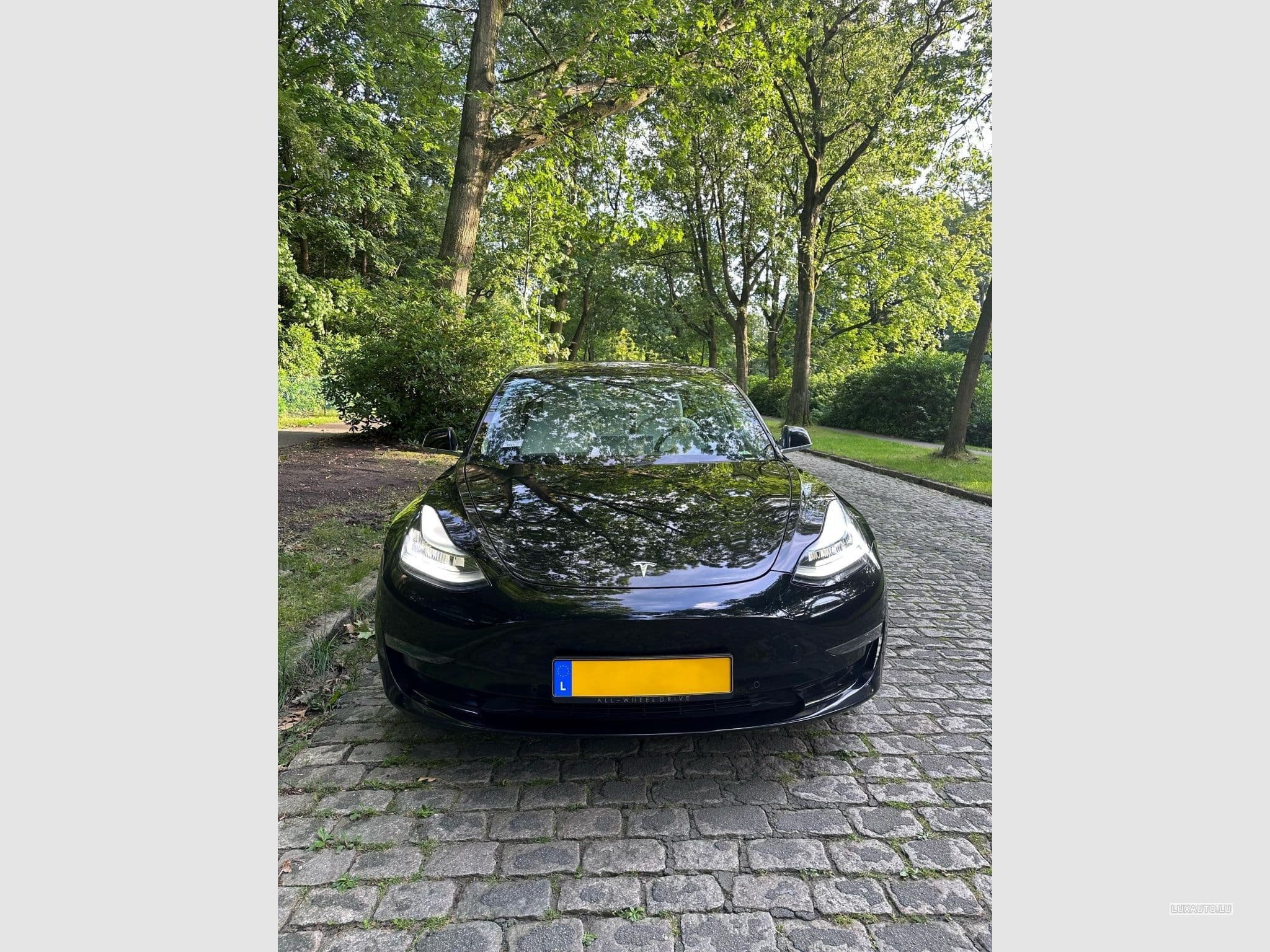 Tesla Model 3 Performance / Dual Motor / FSD (2019) - Foto 3