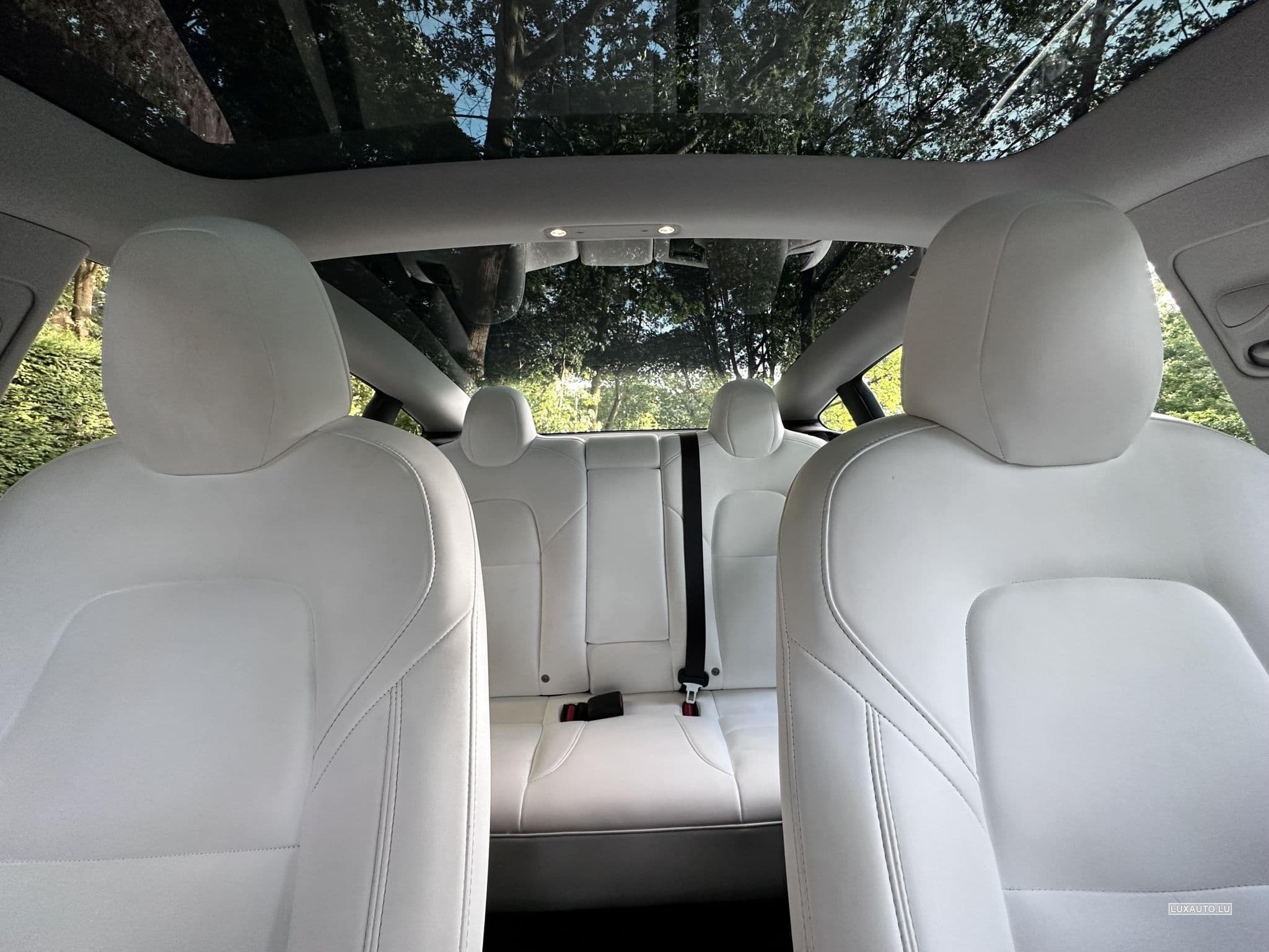 Tesla Model 3 Performance / Dual Motor / FSD (2019) - Foto 8