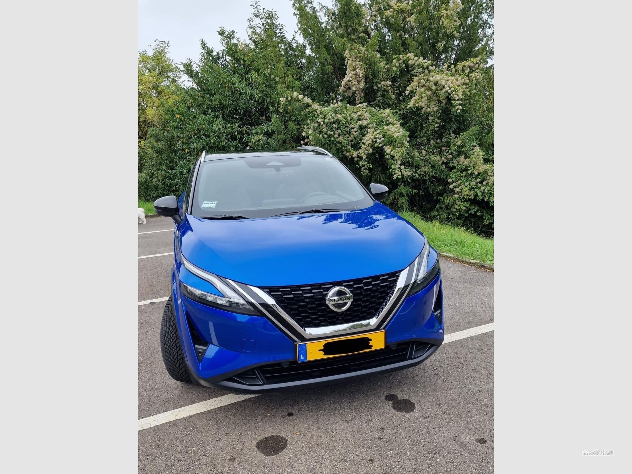 Nissan Qashqai (2022) - Photo 1