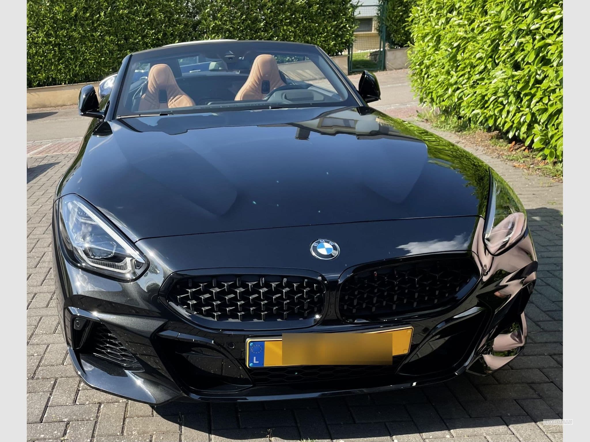 BMW Z4M Z4 M4.0i (2021) - Foto 3