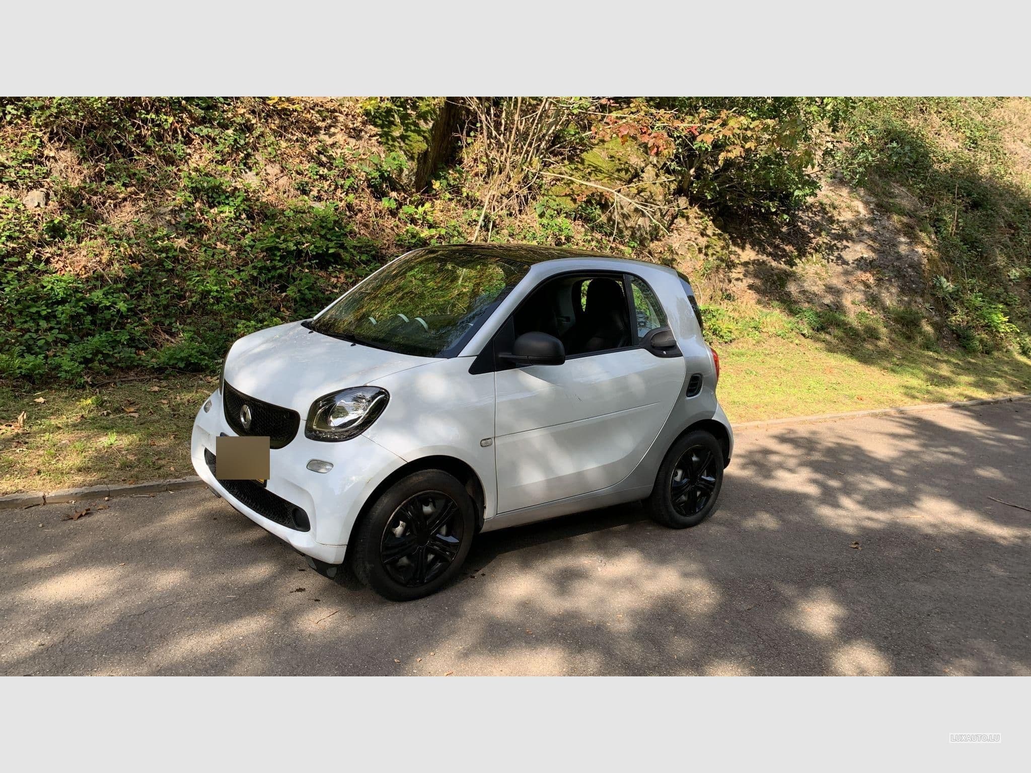 Smart Fortwo (2015) - Photo 1