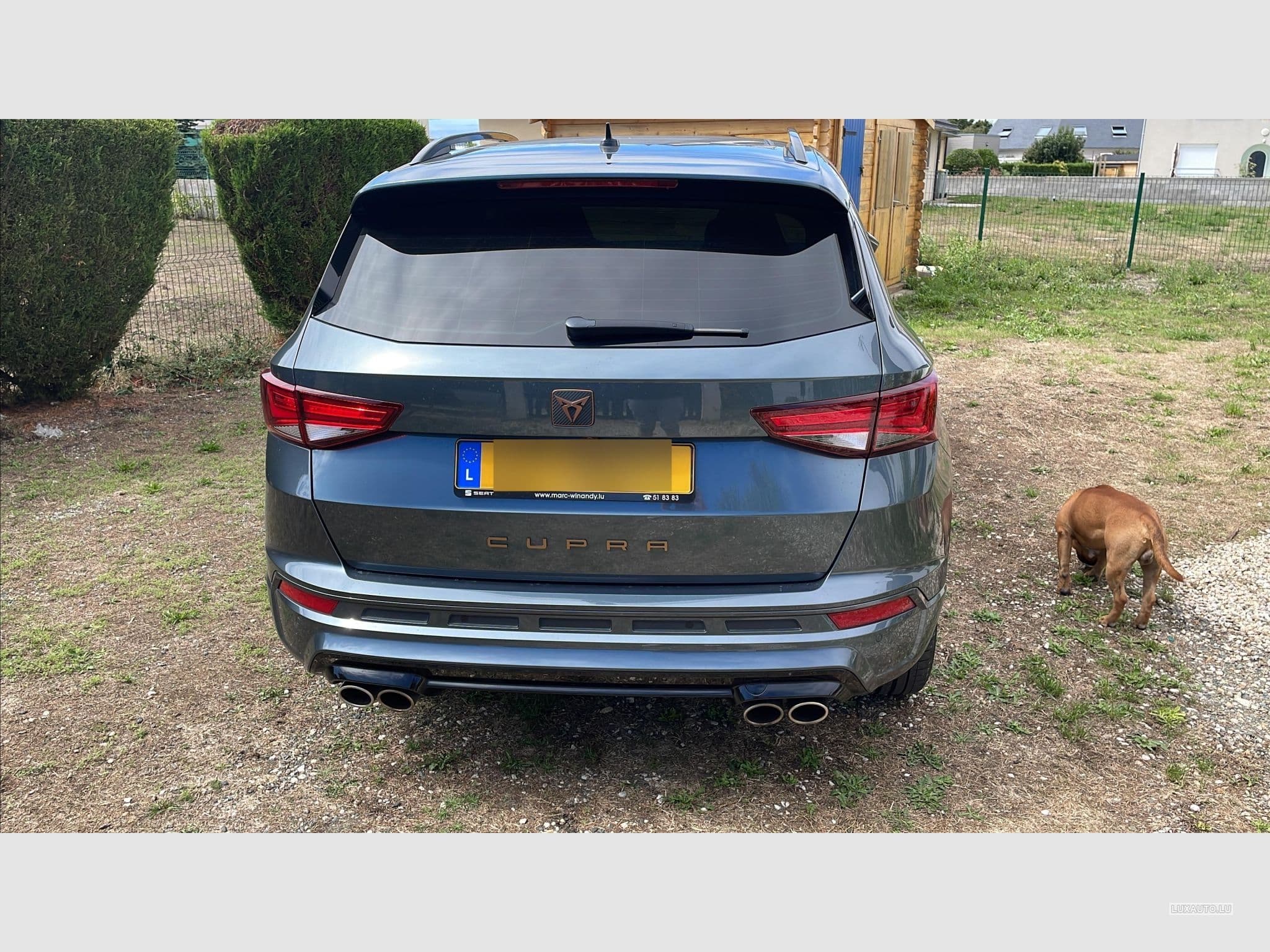 Cupra Ateca (2020) - Photo 3