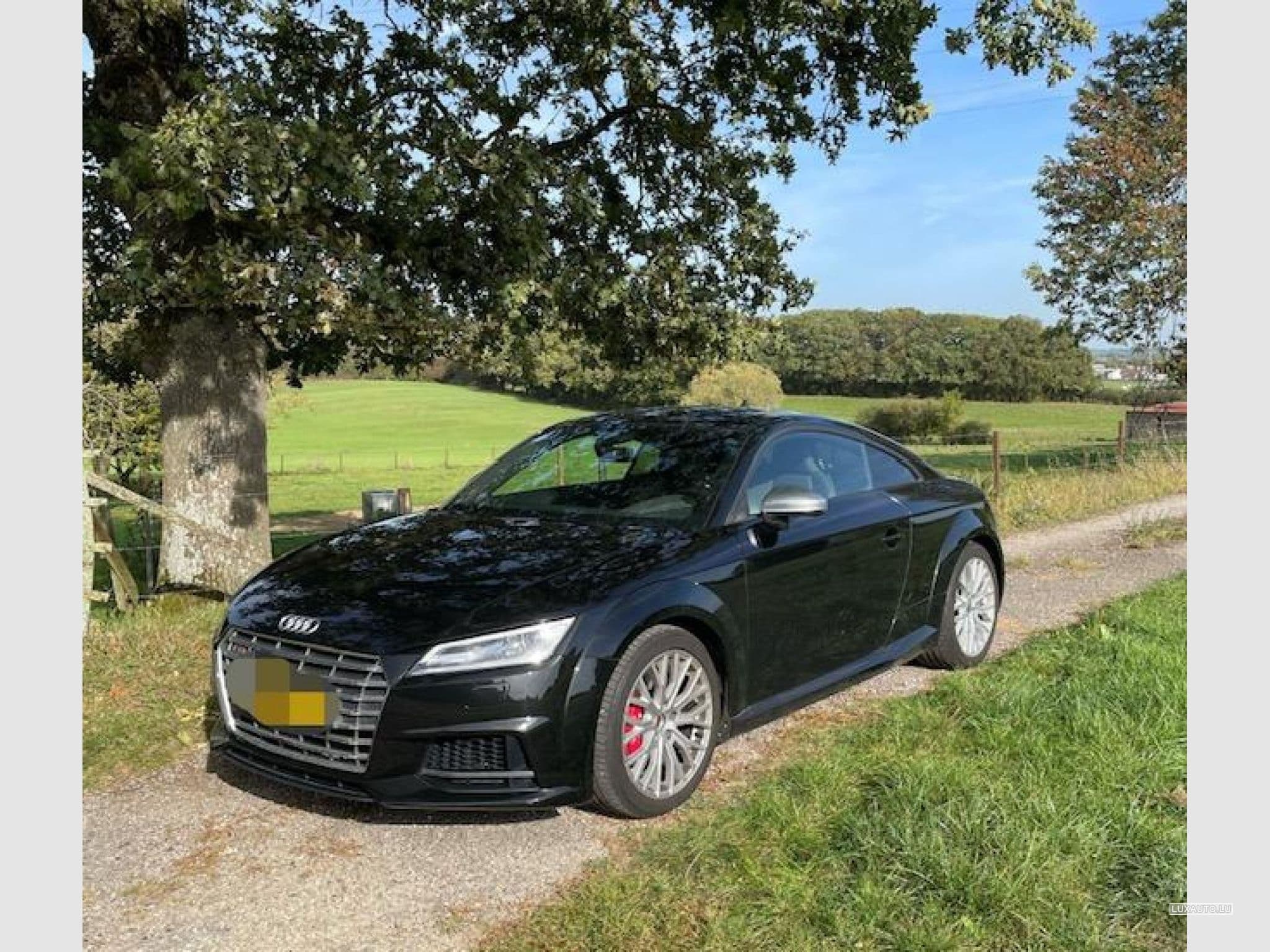Audi TTS TTS (2017) - Photo 1